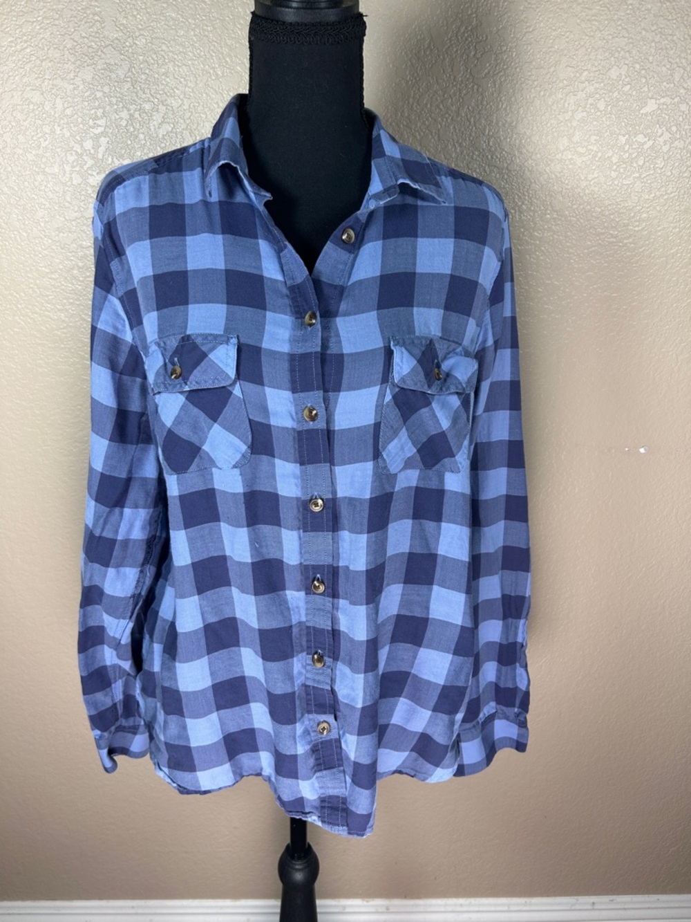 American Eagle Outfitters Blue Plaid Button-Down Shirt